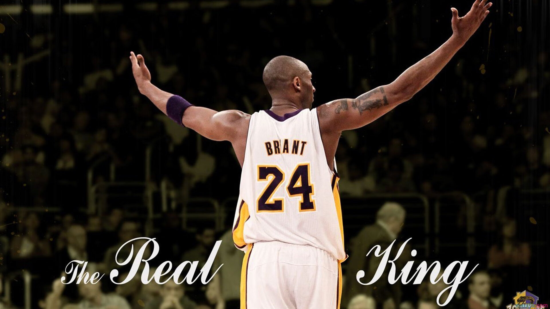 范弗利特爆发！辽宁队提前终结悬念，山西队饮恨赛场